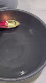 Steam Toy Boat